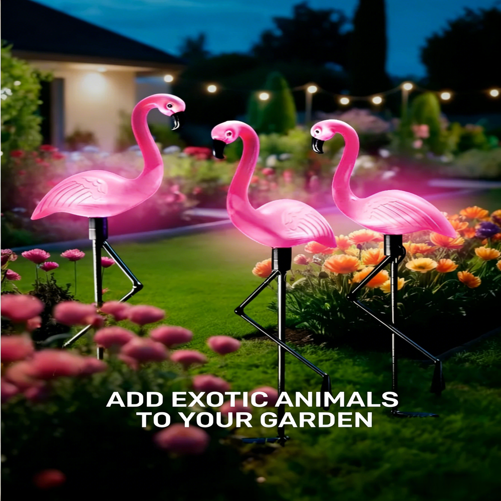 3Pcs Solar Powered Flamingo Gr - Solar Path Light reseña y precio